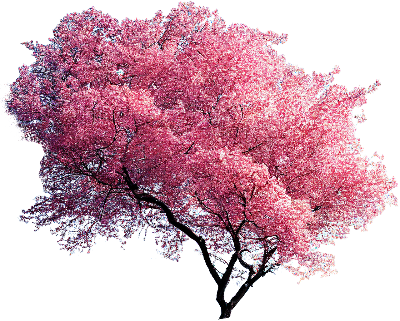 ai-generated-7586640_1280