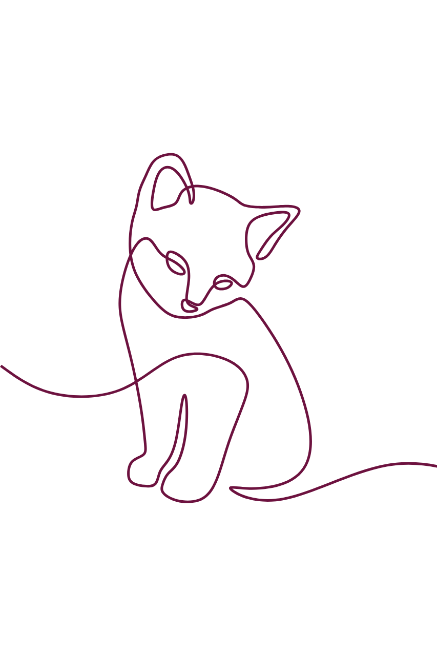 comminication amimale à distance chat dame nath'ure