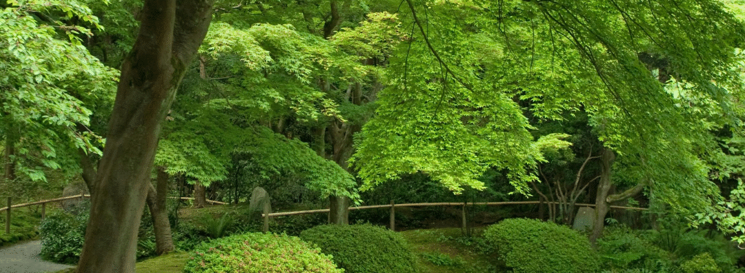 Journée du bien-être à Bosc Roger sur Buchy