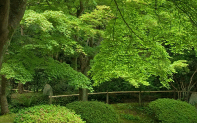 Journée du bien-être à Bosc Roger sur Buchy