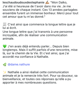 communication animale rouen
